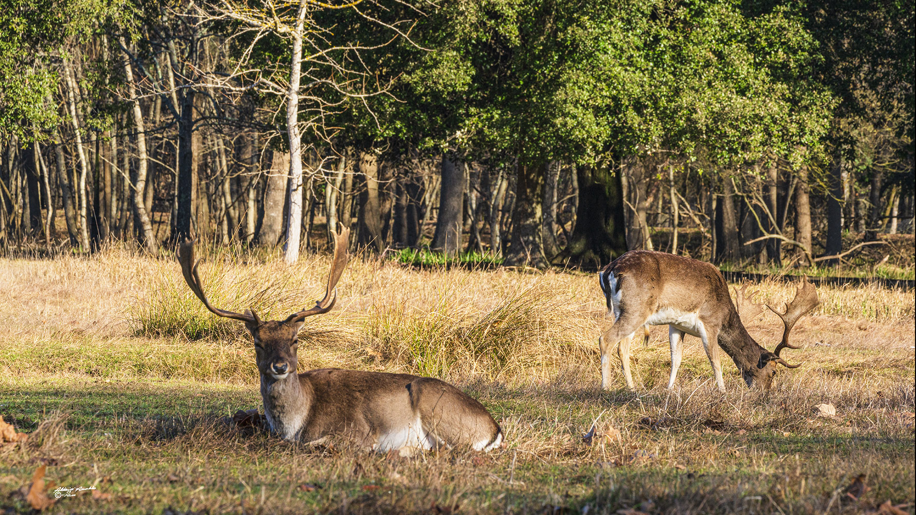 Un attimo di riposo..