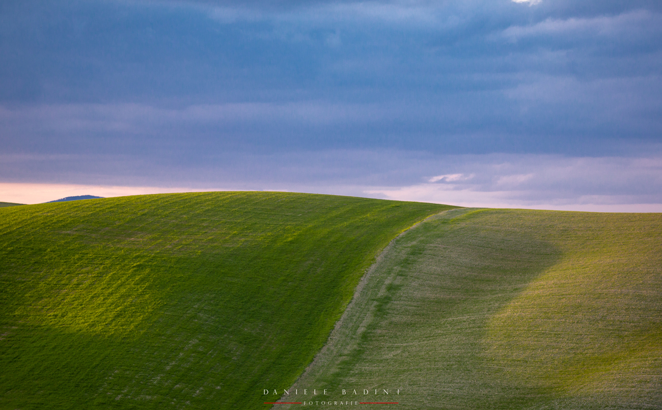 annunci di primavera