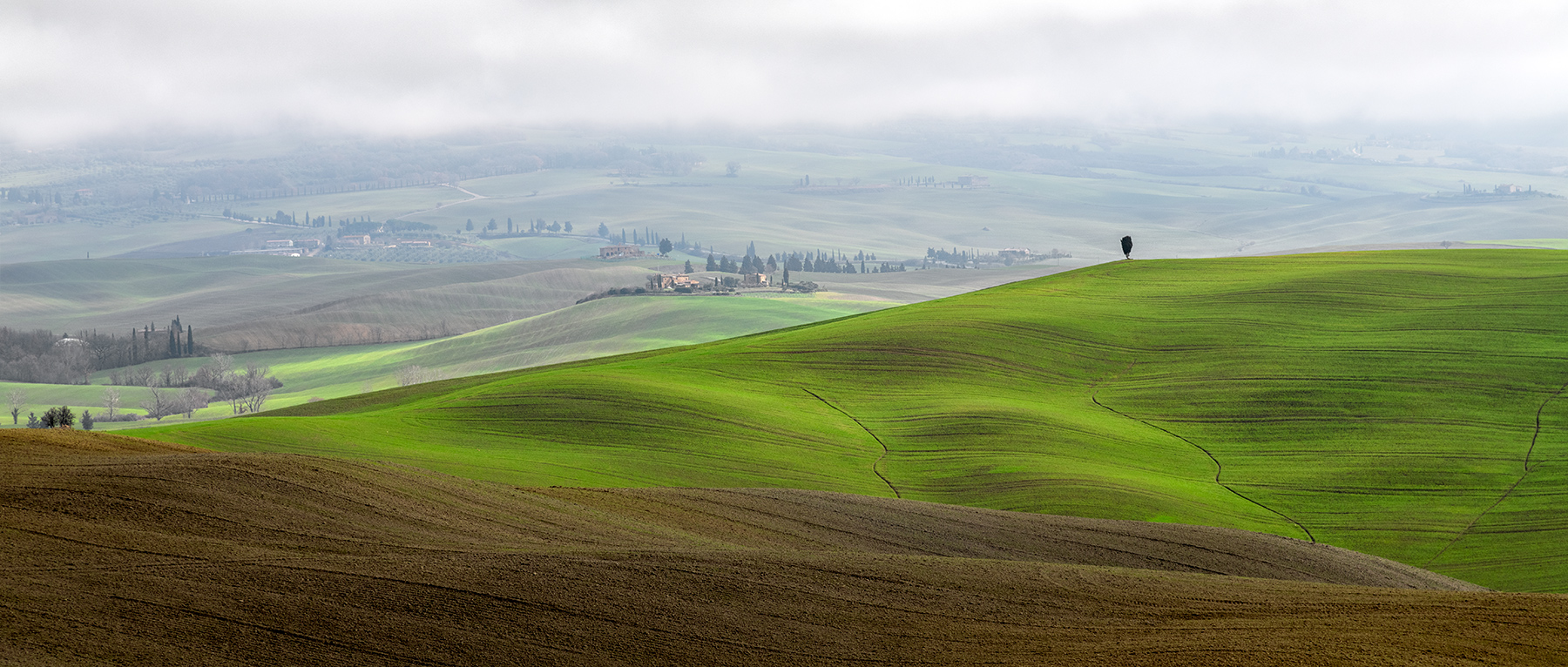 Crete senesi
