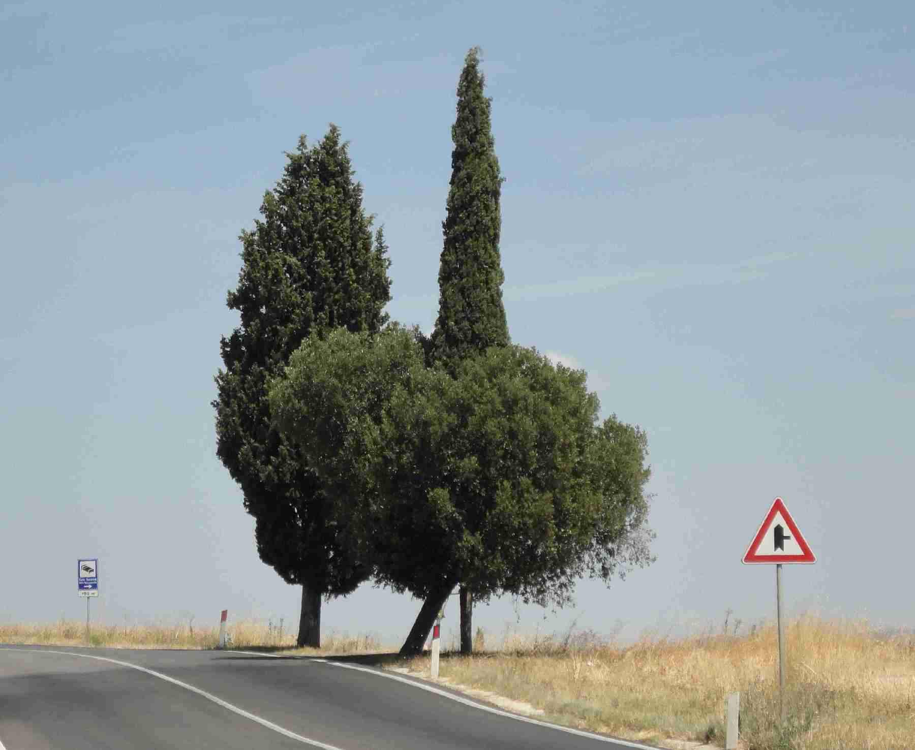 Differenze tra uguali