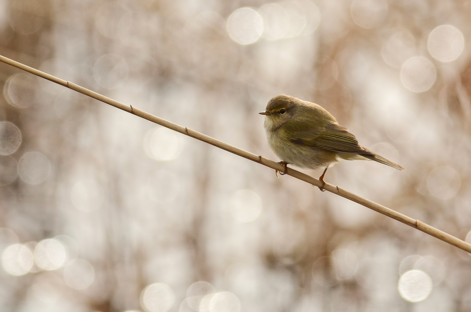 Lui in controluce...io ci provo...