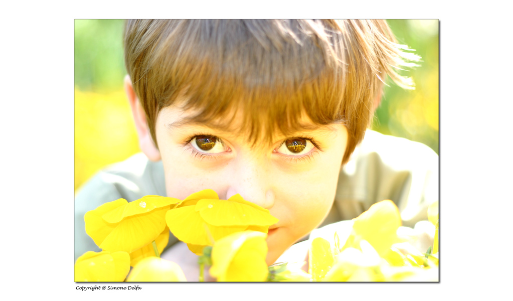 Gli occhi.... lo specchio dell'anima