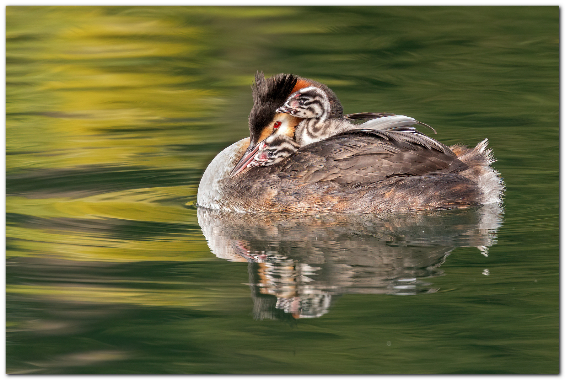 In un letto di piume