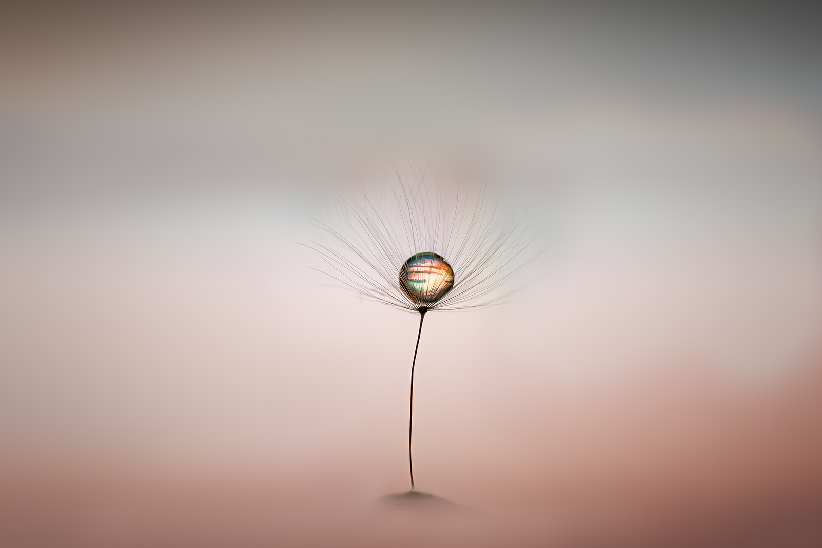 Rio Martino in the drop