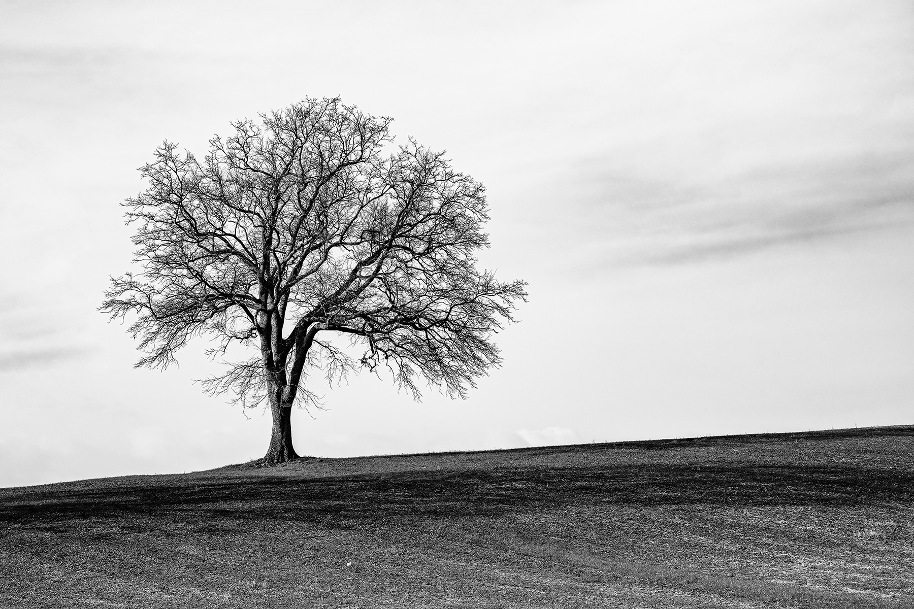 Giulianello_RM_Mar22