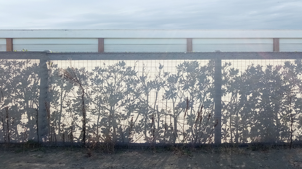 A spasso col cellulare 6