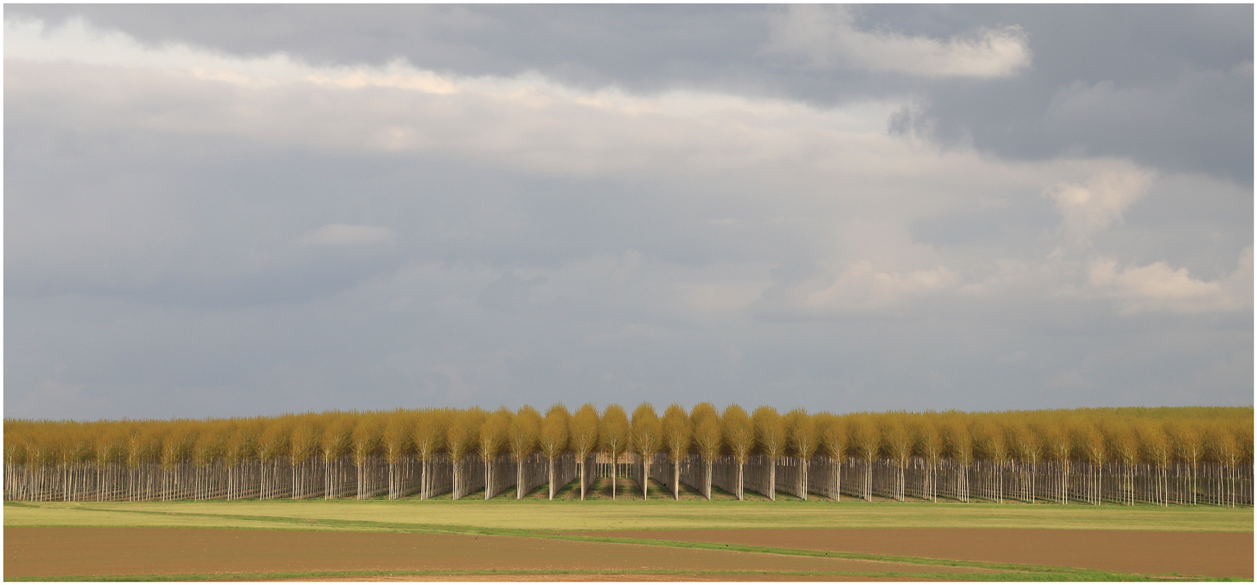 |||||||||||||||||||||||