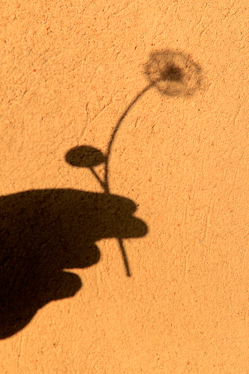 Con un gesto gentile