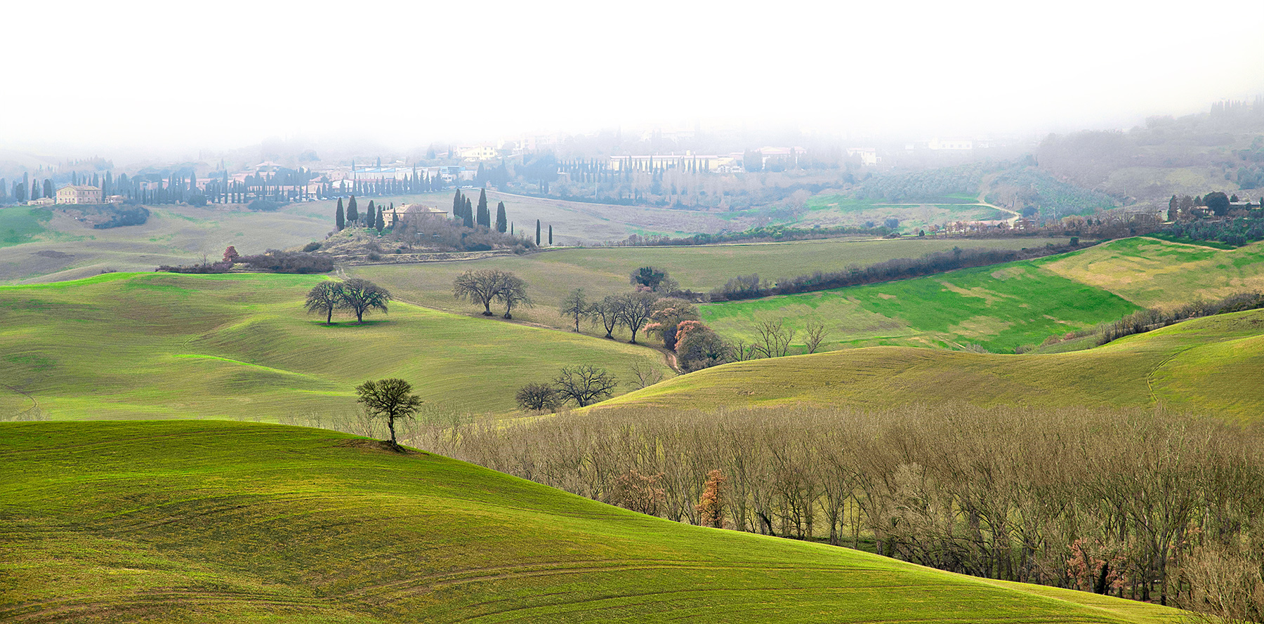 Val d'Orcia - Fog