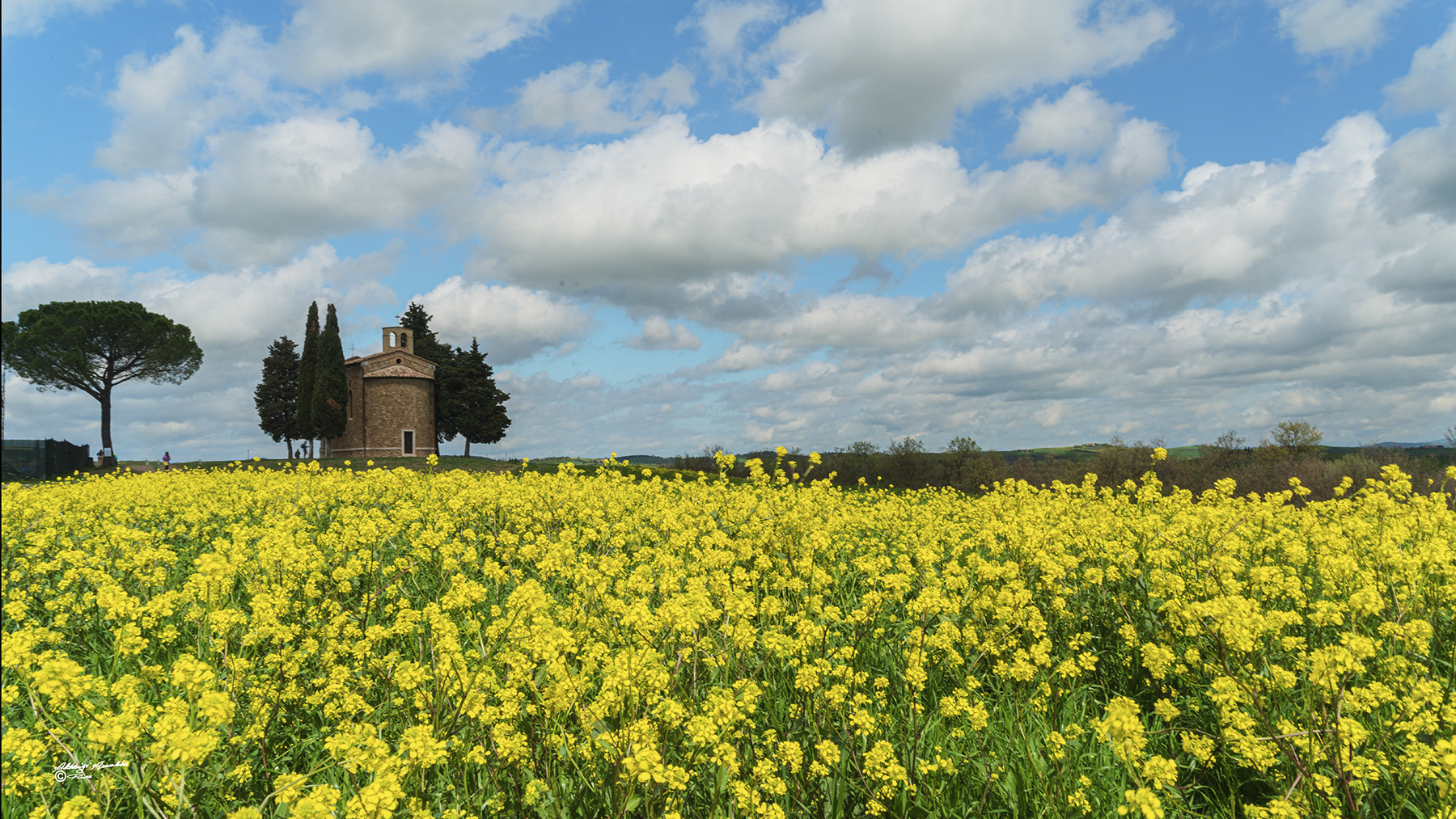Vitaleta. Val d'orcia..