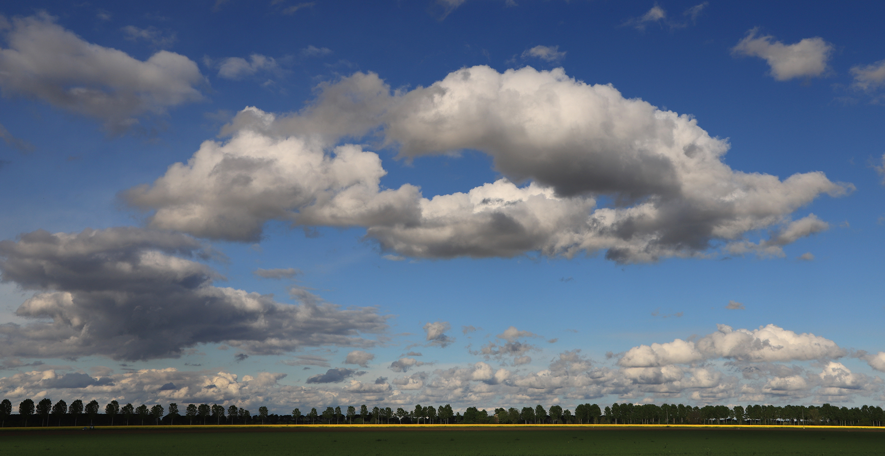 la sottile linea gialla