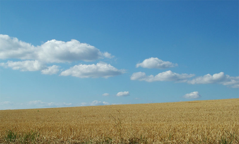ex campo di grano