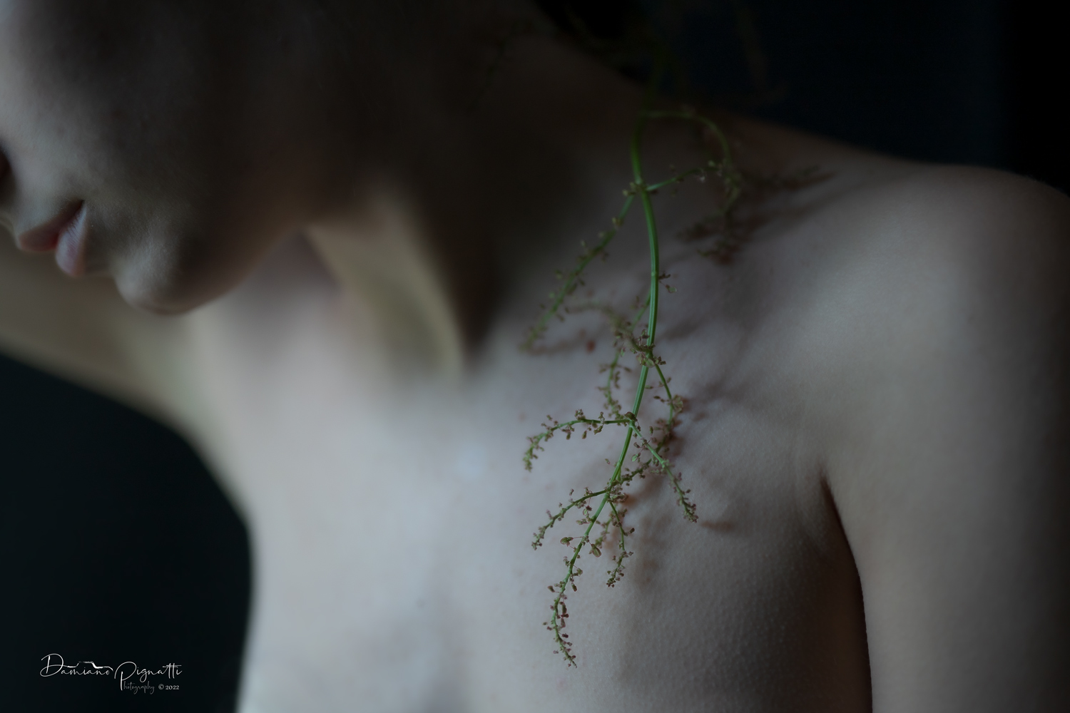 La Primavera del cuore (serie in divenire)