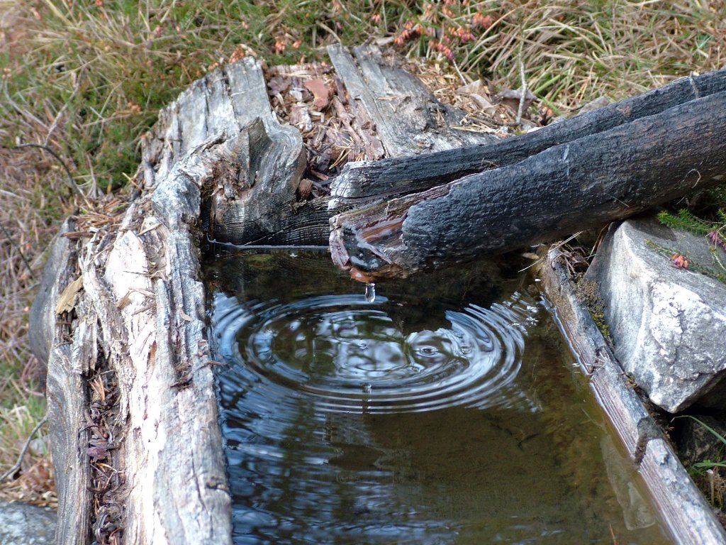 goccia dopo goccia.....