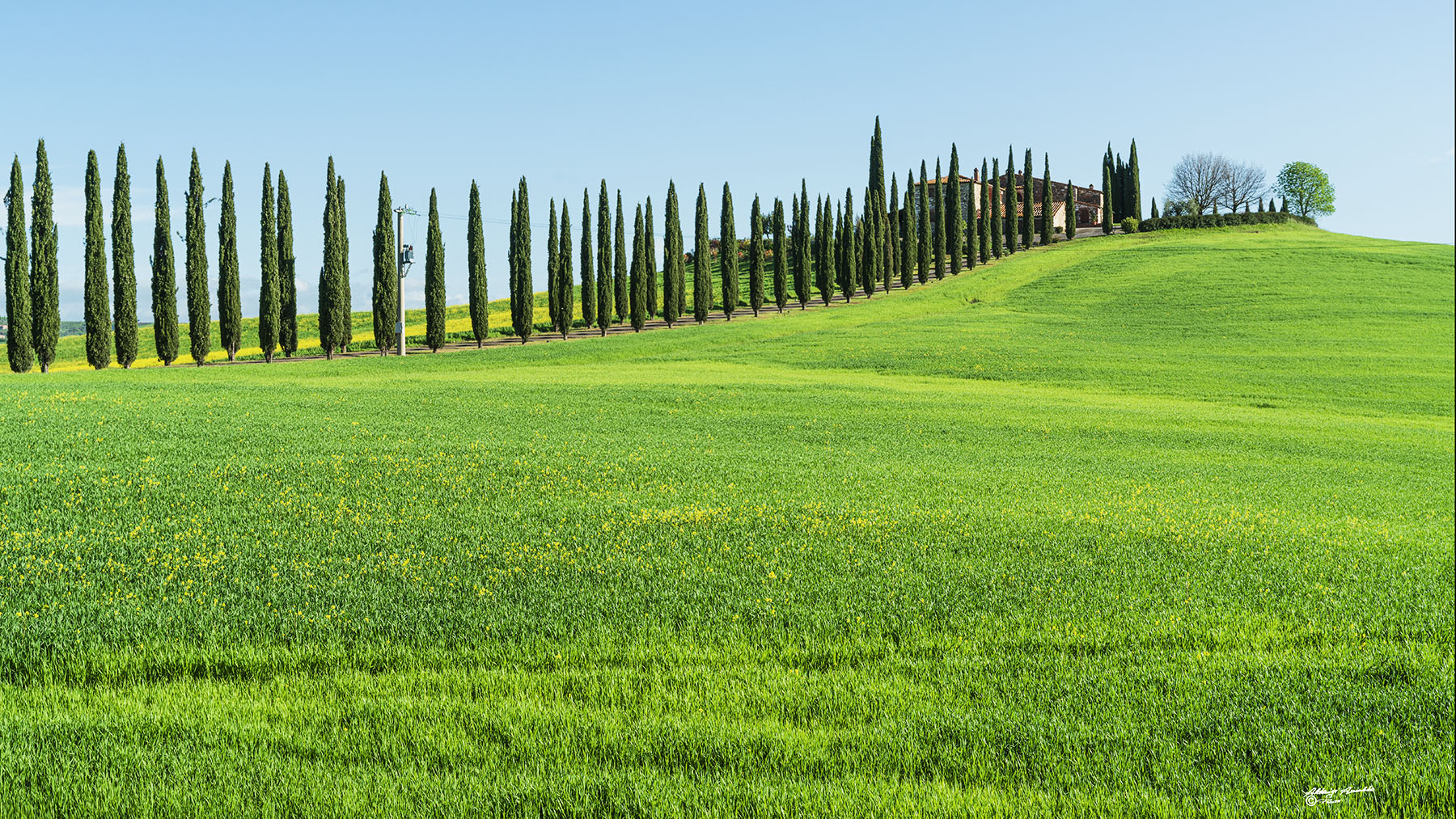 Il vialetto cipressato.. Dx