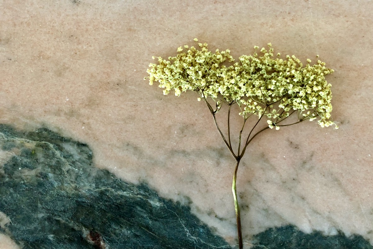 Paesaggio fantasioso