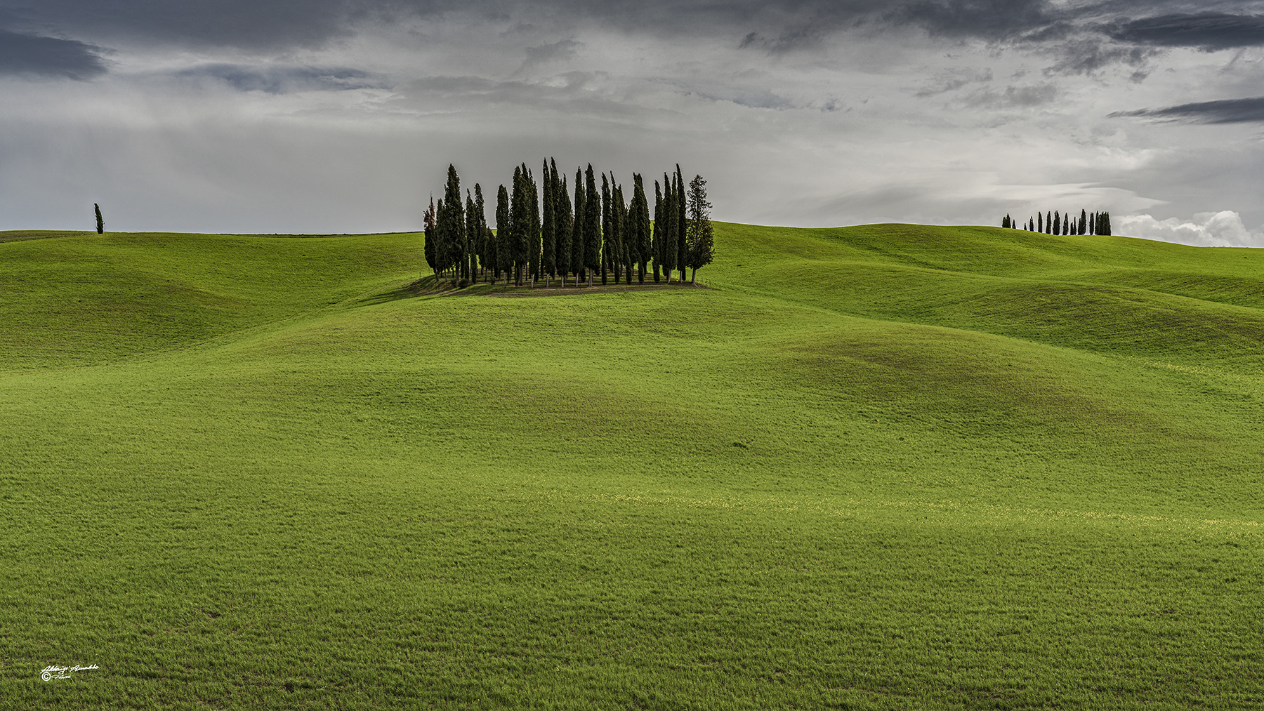 Alberi Solitari.. Val d'orcia.