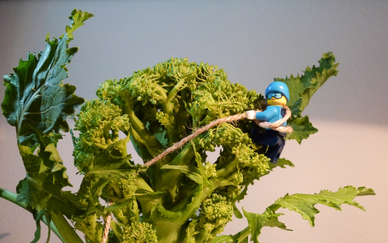 La conquista di Cima " de Reip"