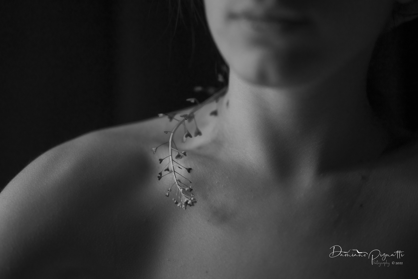 La Primavera del cuore ( serie in divenire)