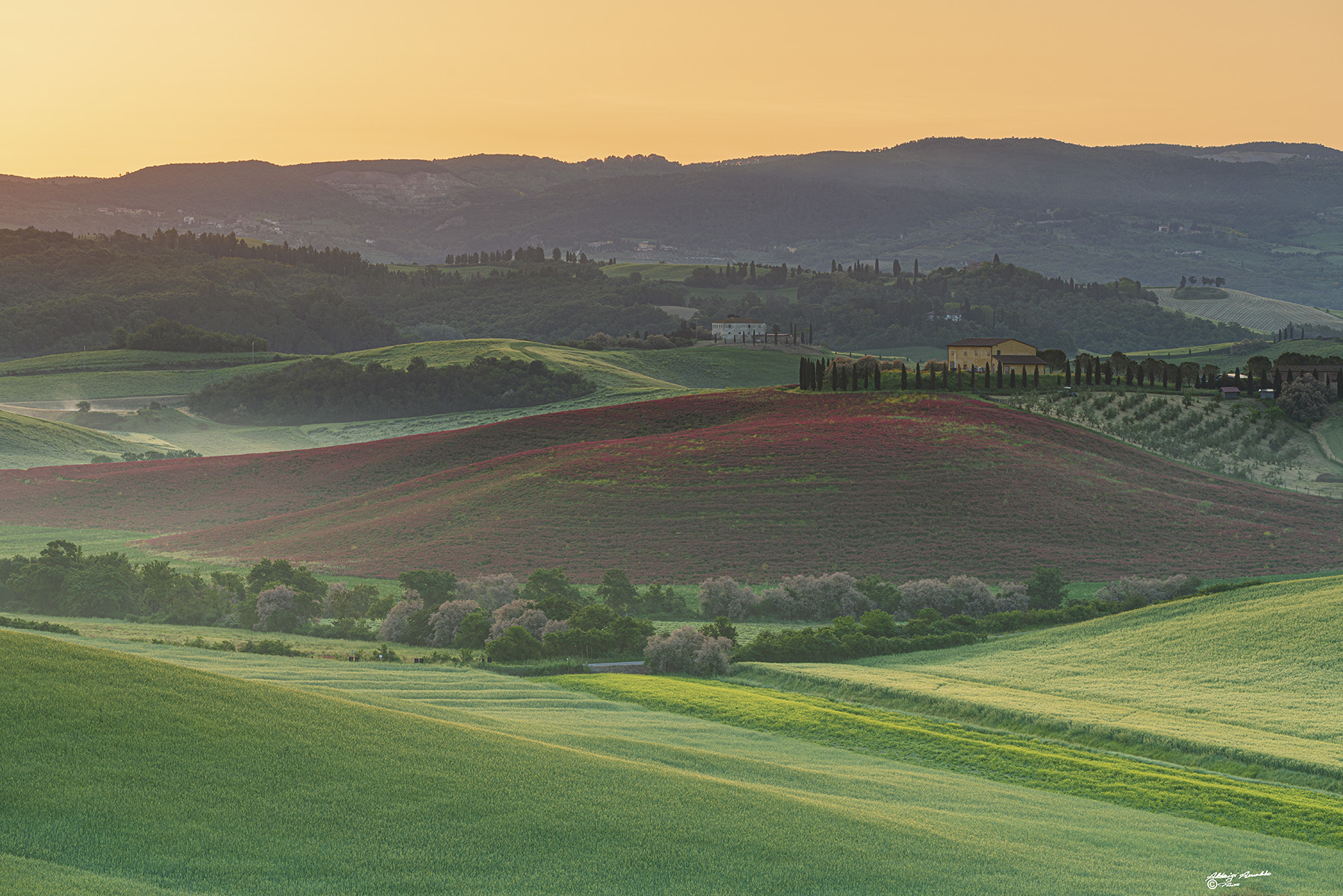 Le colline toscane ed i suoi colori del mattino..