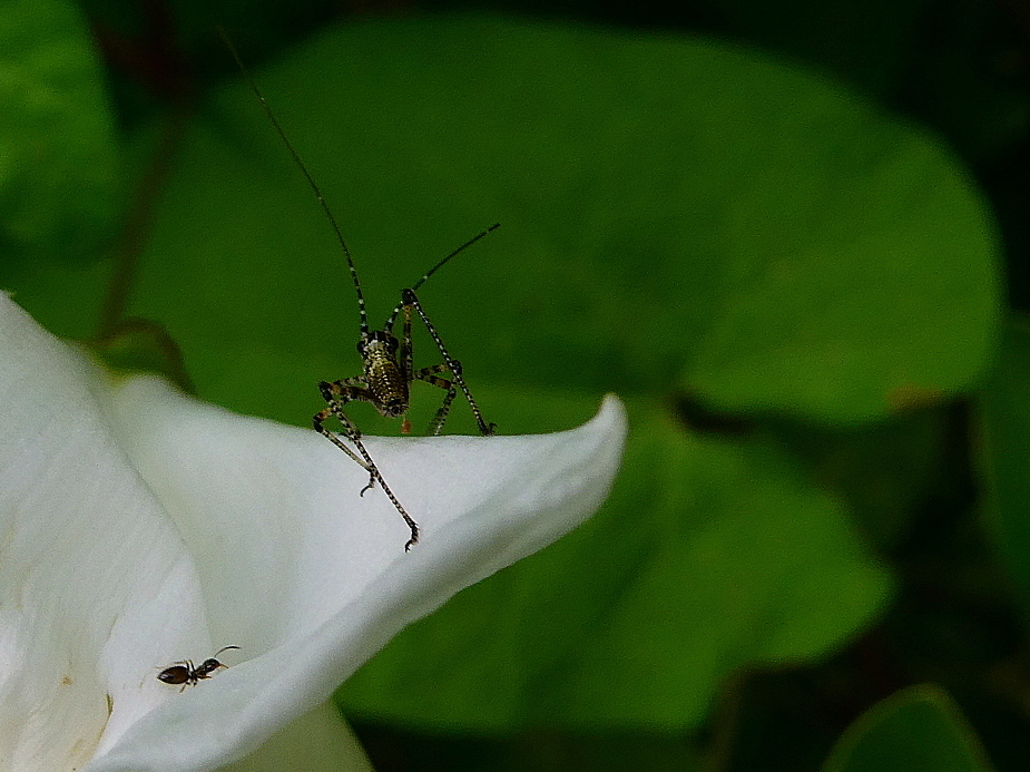 *** E smettila di inseguirmi ***