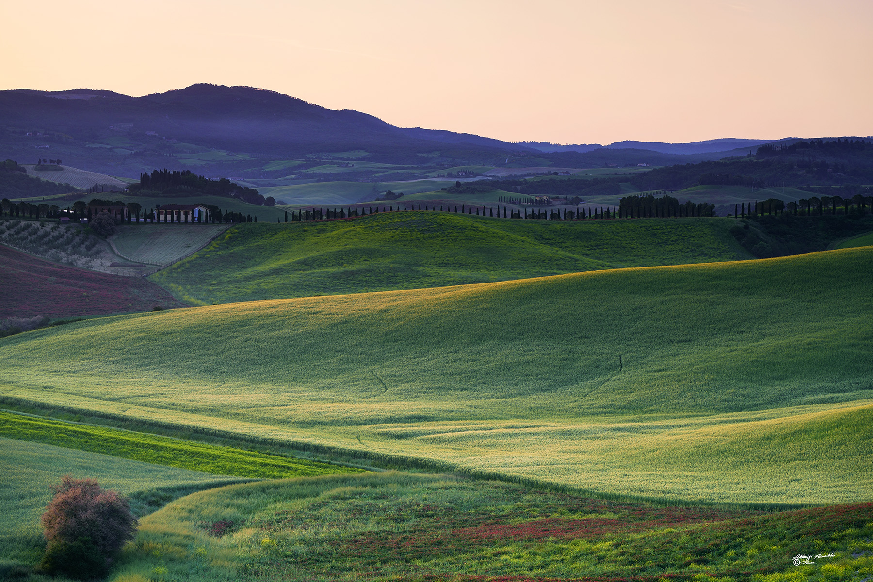 Proseguimento. colline toscane ed i suoi colori del mattino.