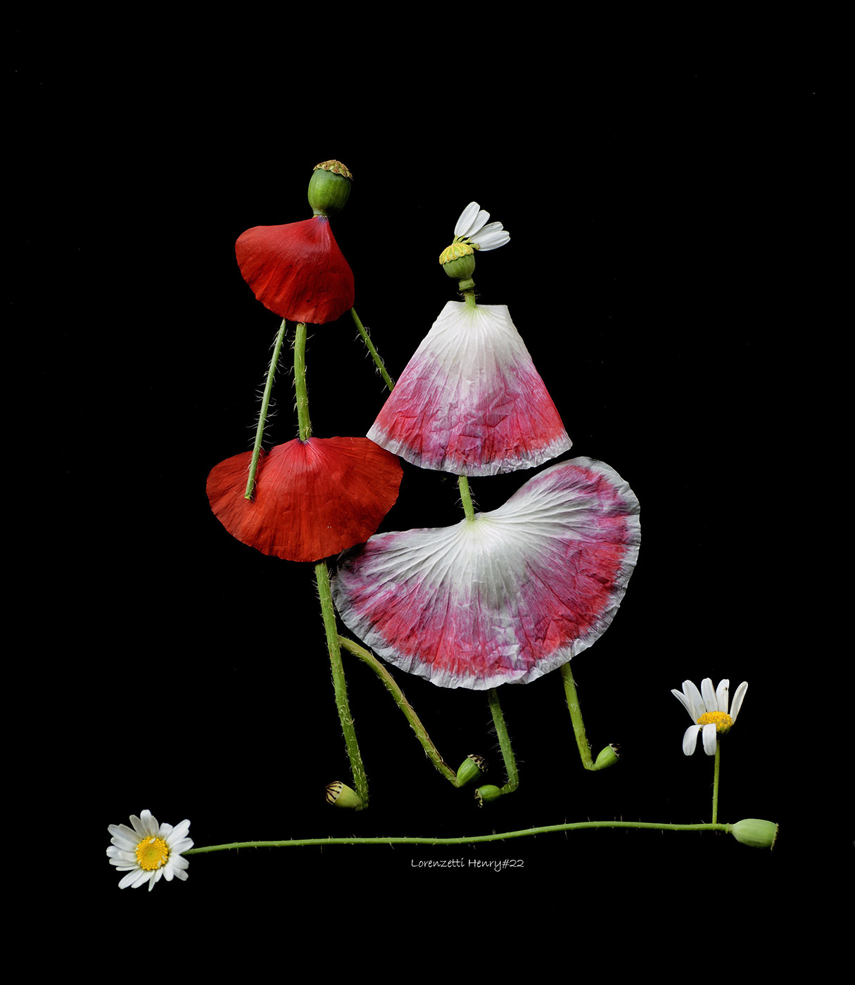 eleganza per una notte...