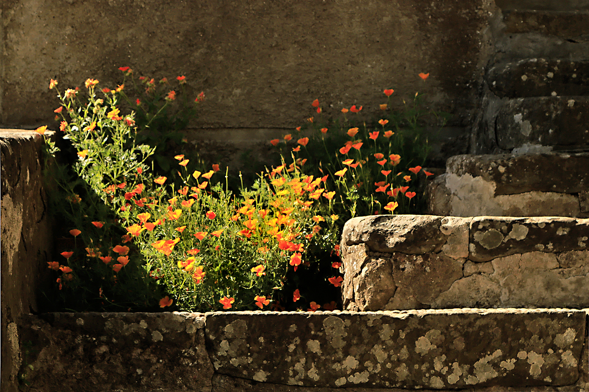 Poesia di un Sagrato