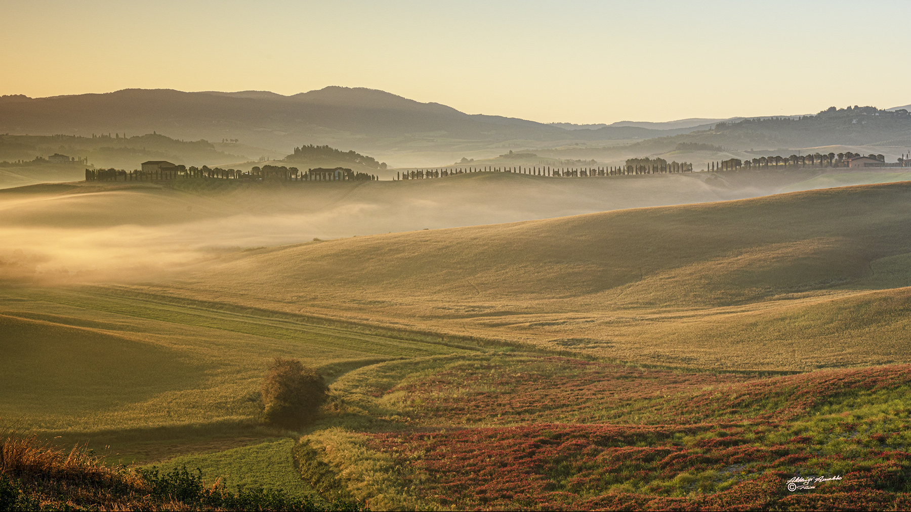 Foschie e colori al mattino nelle colline..