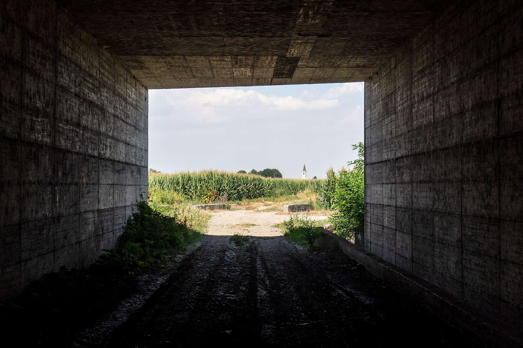 Racconti di pianura - Vicolungo (NO)