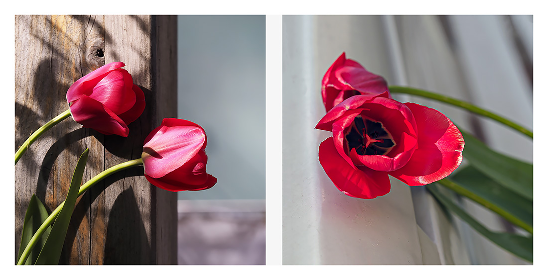 ricordi di primavera