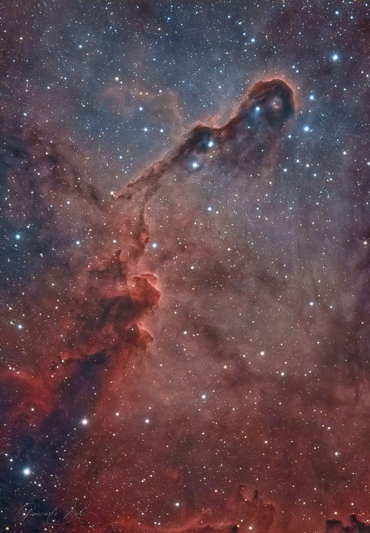 Elephant's trunk nebula