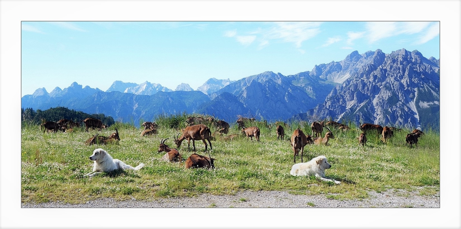 Casera Varmost (UD) 1750m.