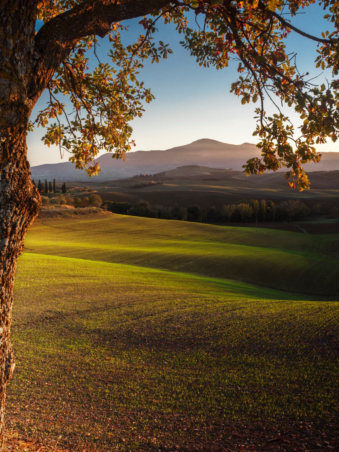 Campagna di Pienza