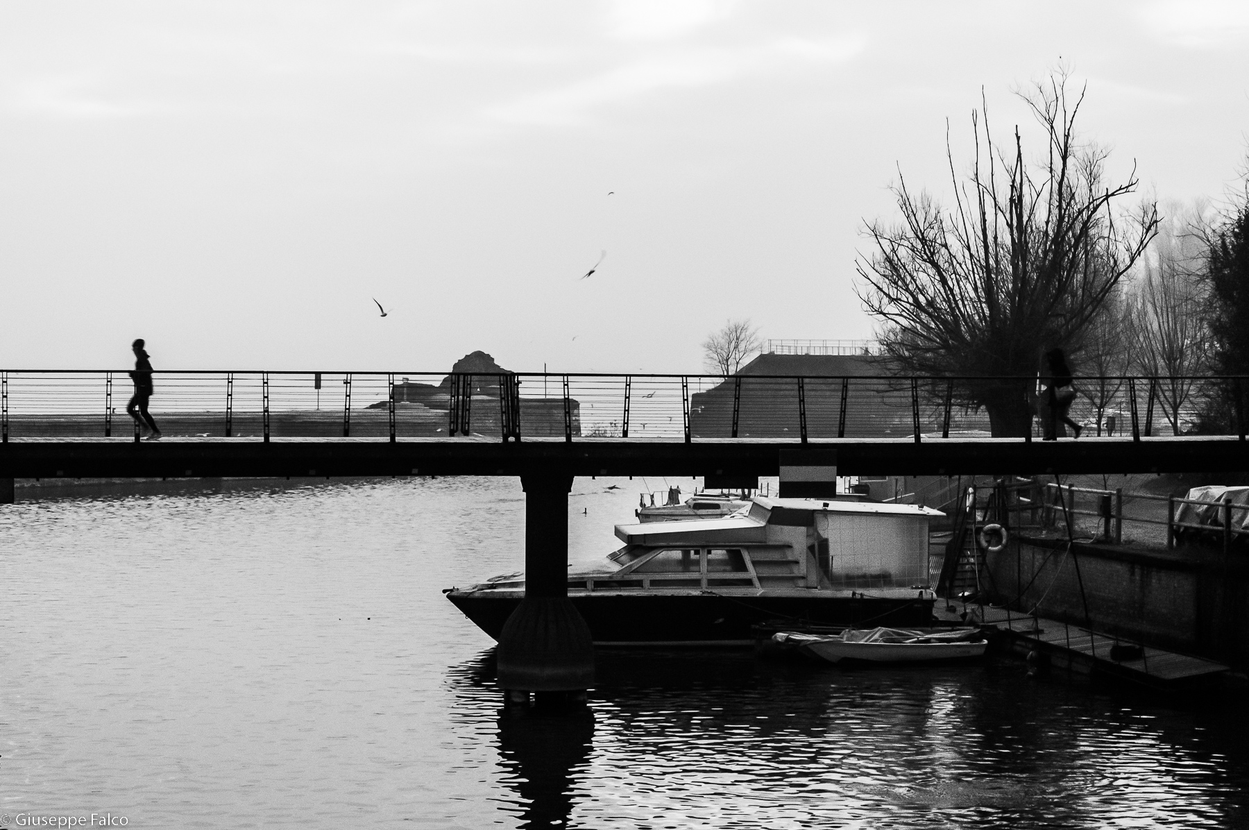 Se una Mattina di Inverno un Corridore... (cit.)