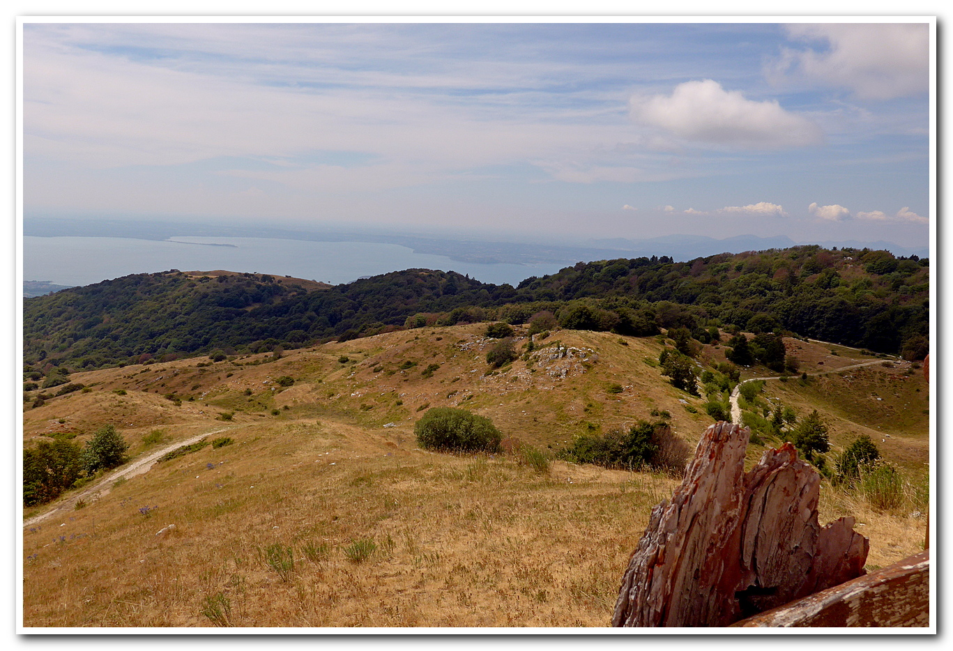 Garda da pascolo rinsecchito