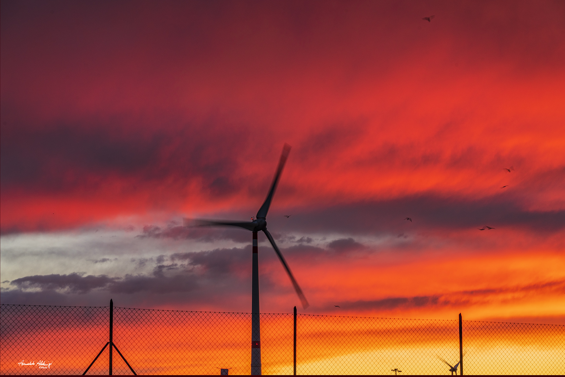 Le Pale.. al Tramonto infuocato.