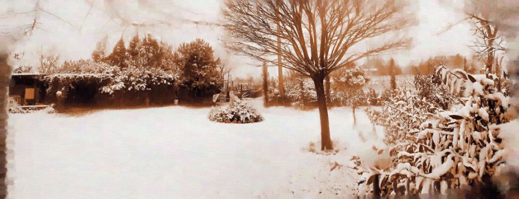 Il "Quercetino" B&B sotto la neve -2001