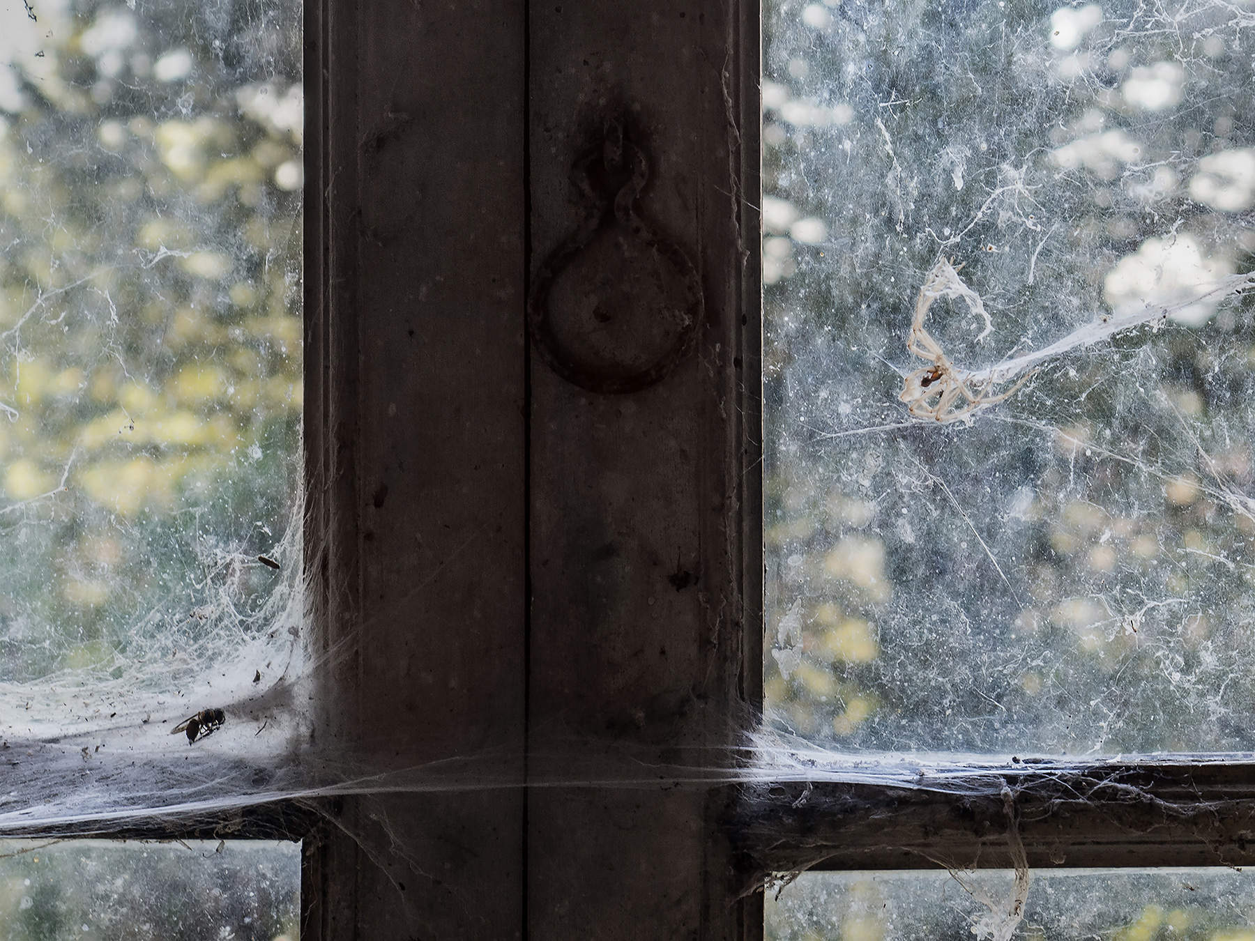 Il Tempo � lungo ma la vita � breve