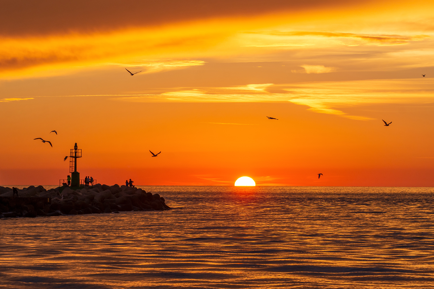 Fiumicino Darsena red Ott2022