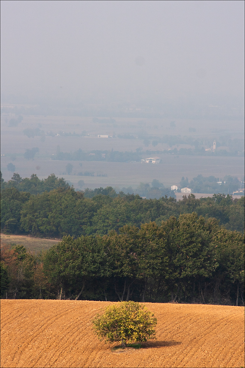 Nuove monotonie collinari