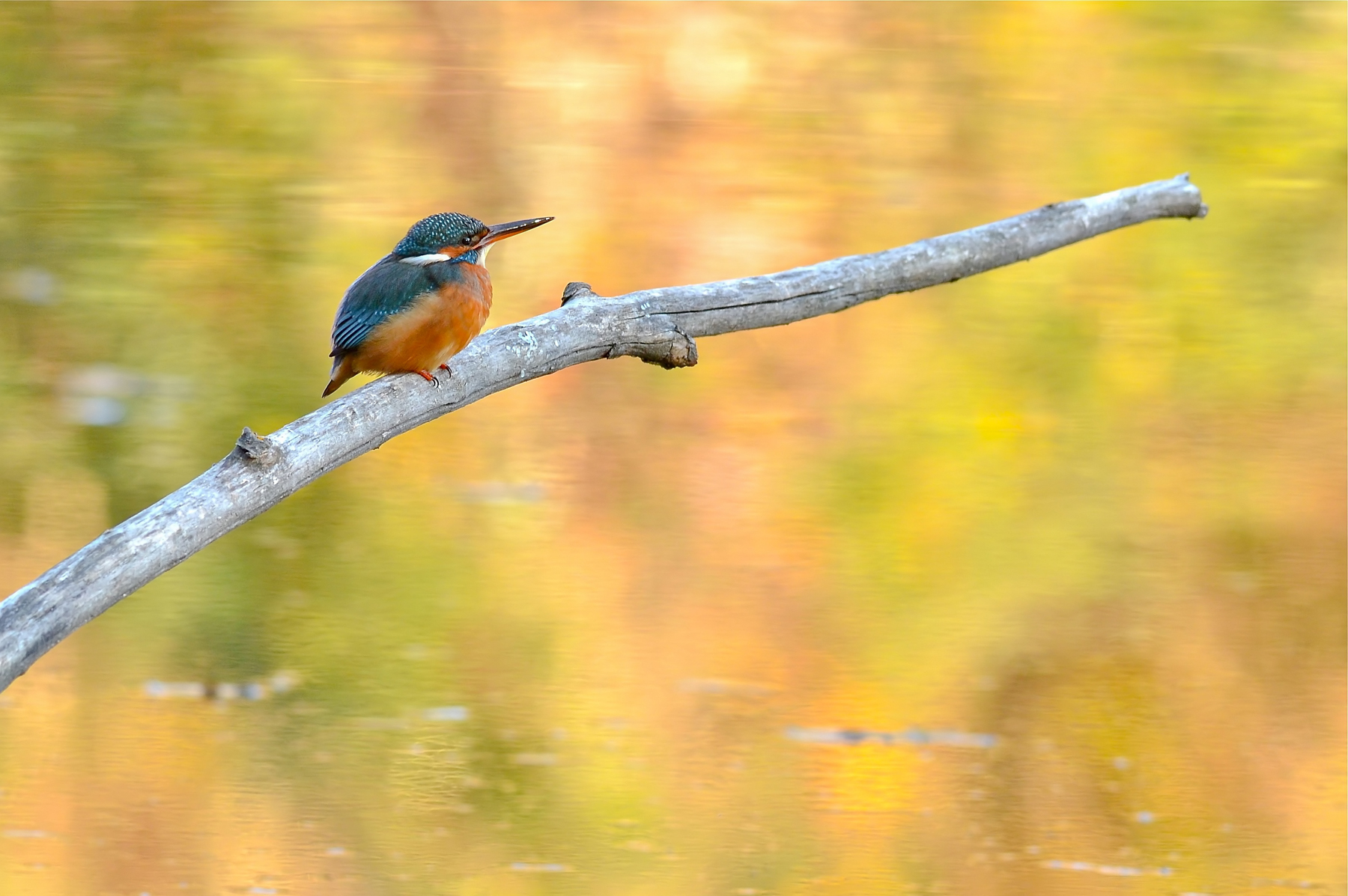 Quando il soggetto non � tutto...