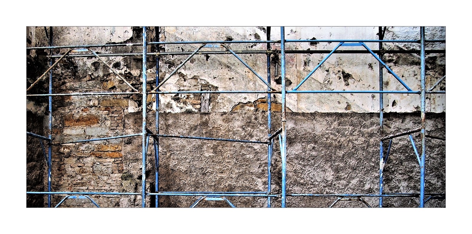 Appunti di un passeggiatore solitario