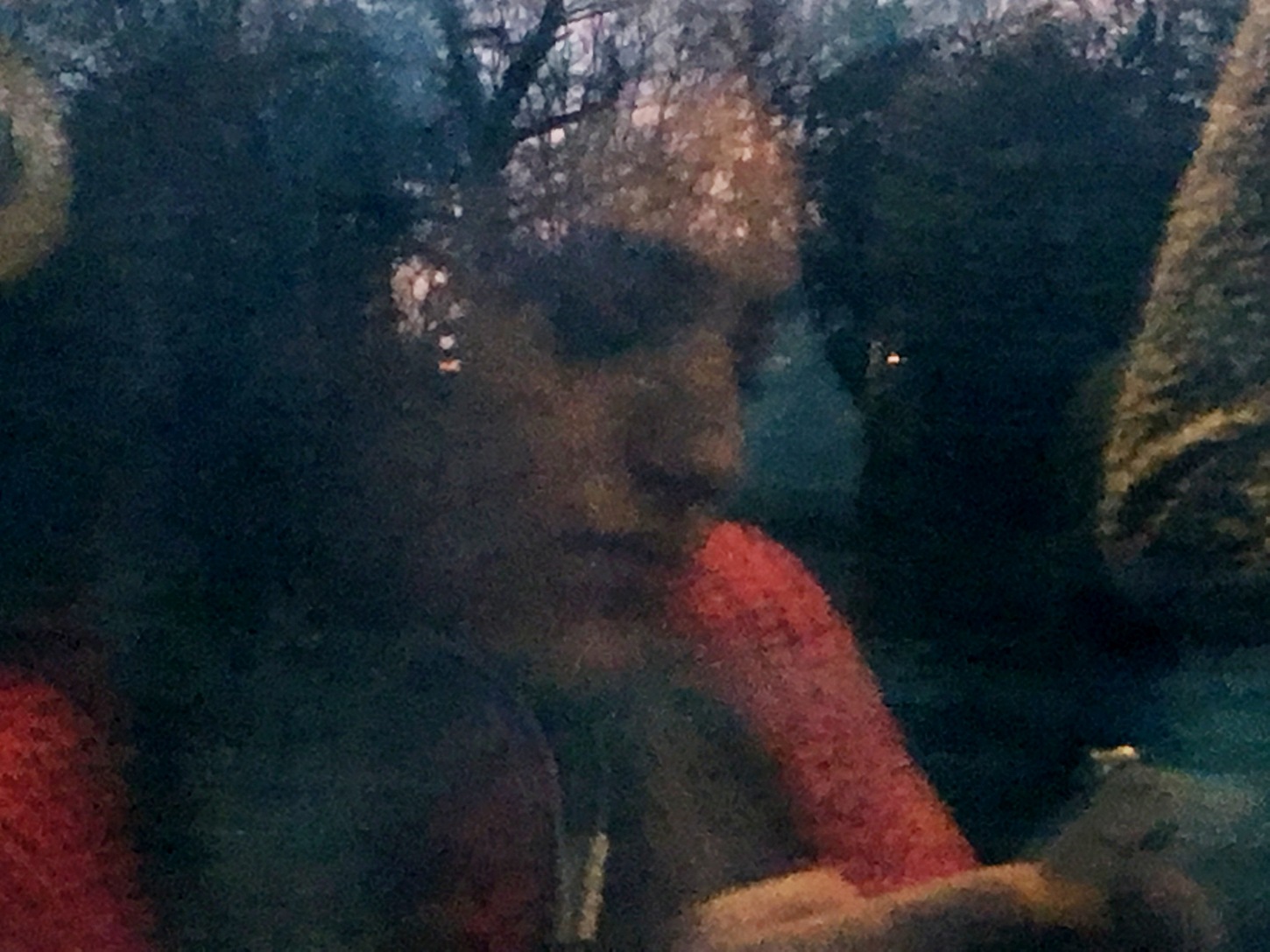 Impronte sul finestrino