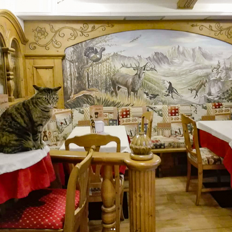 BUON APPETITO (foto quadrate a caso)