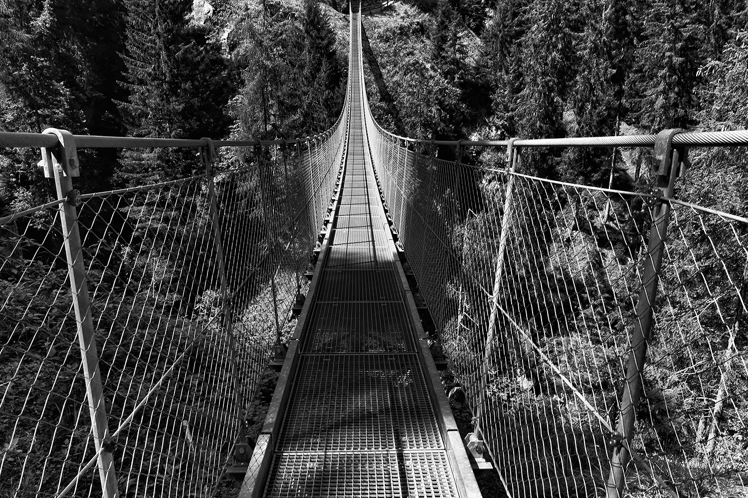 Suspension Bridge | Rabby Valley