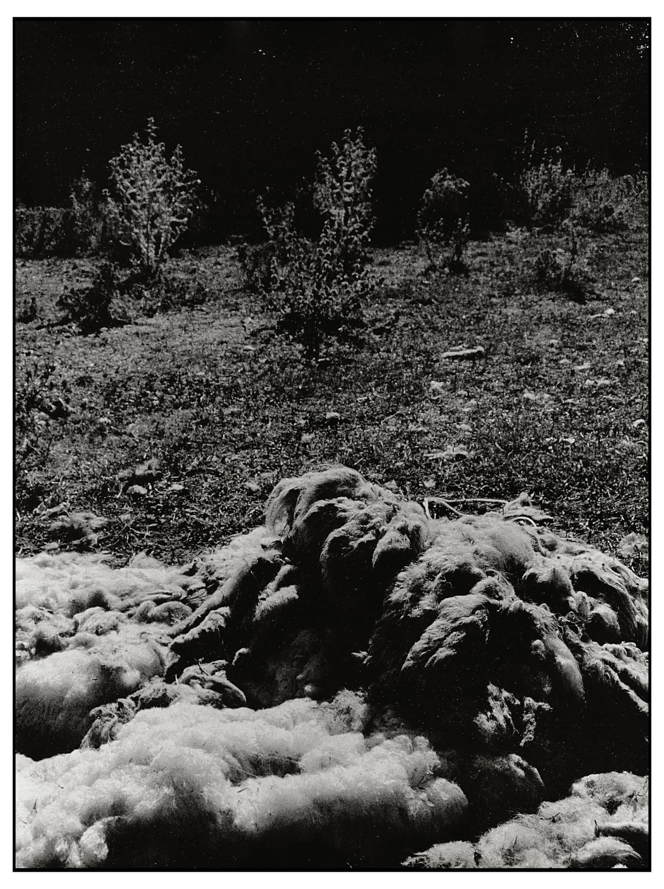 Ieri risorsa, oggi rifiuto.