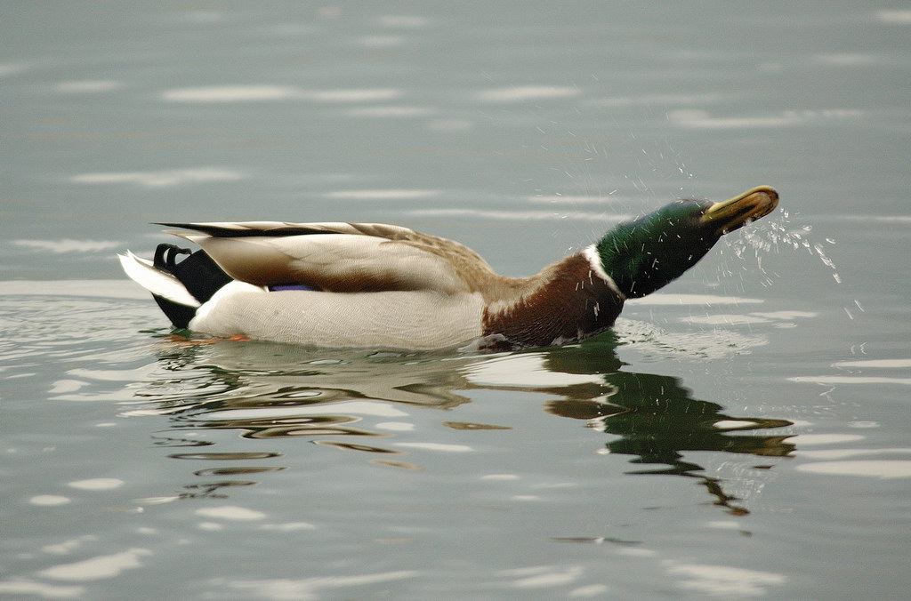 Etciuu!!!!...Salute :-)