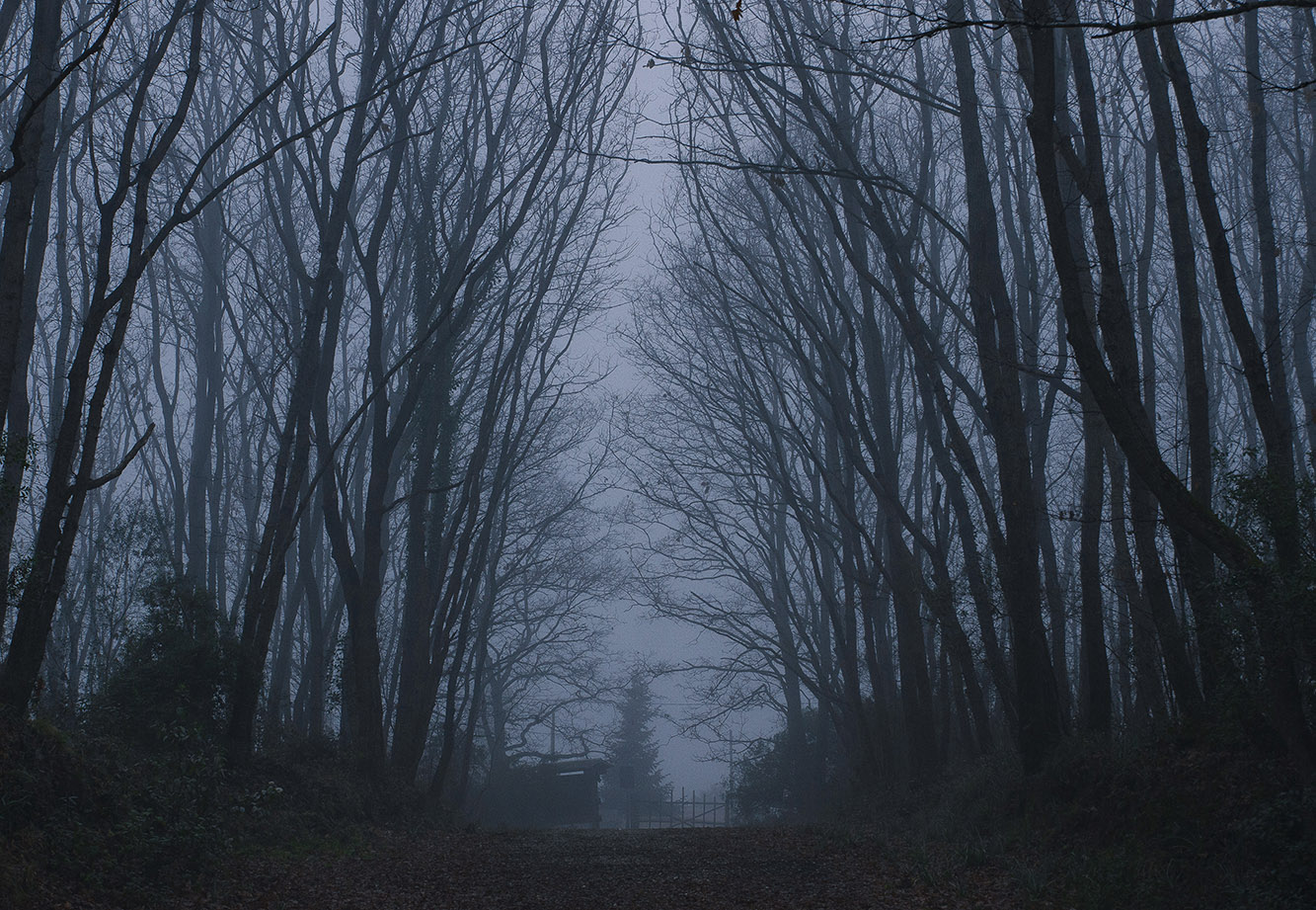 Mattino suggestivo..