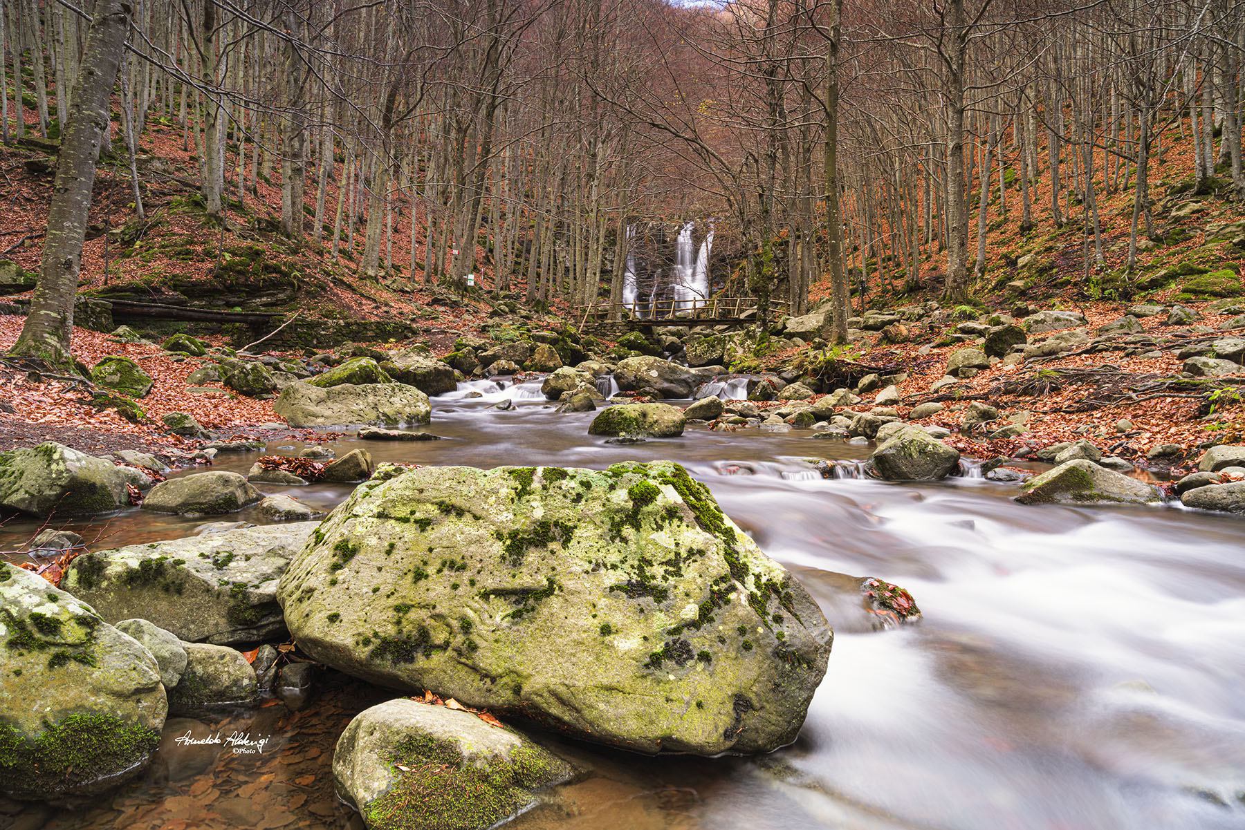 Percorrendo il Torrente Dardagna. Novembre 2022